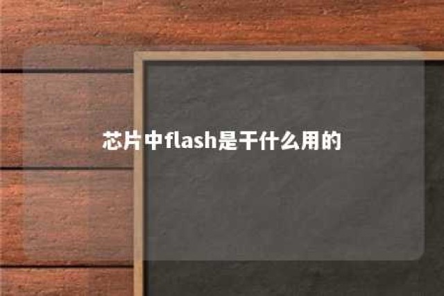 芯片中flash是干什么用的 